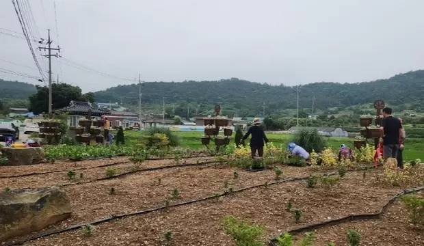 메인사진