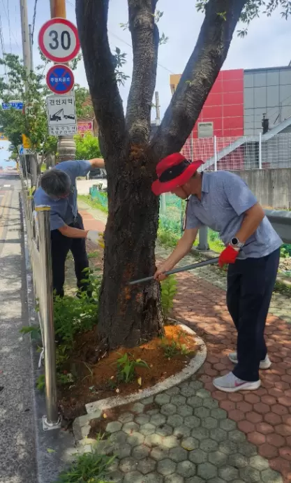 메인사진