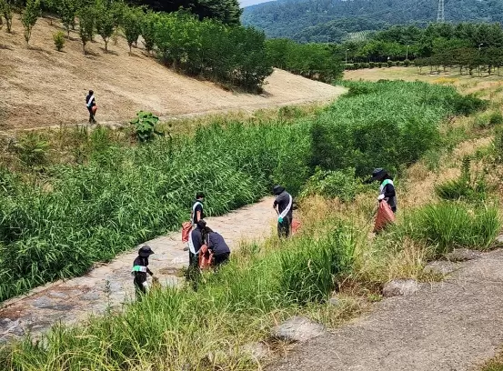 메인사진