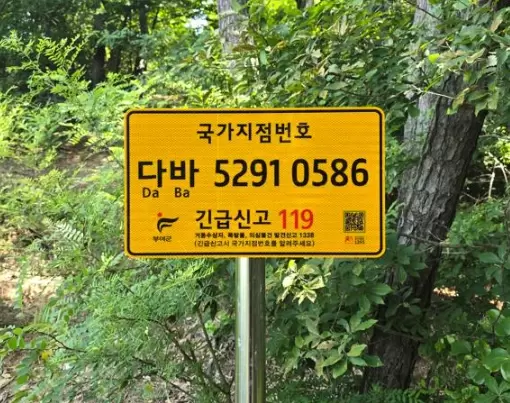 메인사진