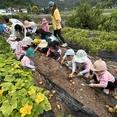 메인사진