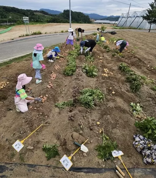 메인사진