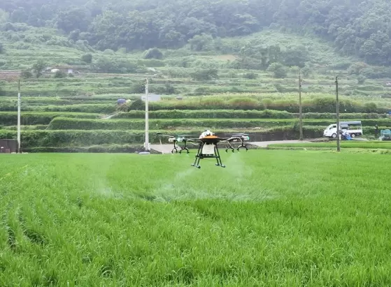 메인사진