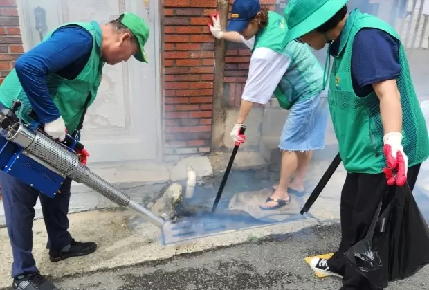 메인사진