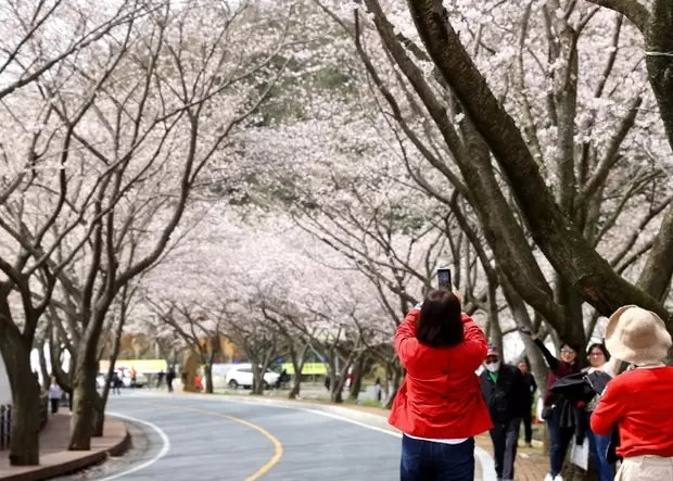 메인사진