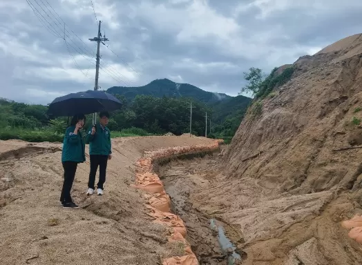 메인사진