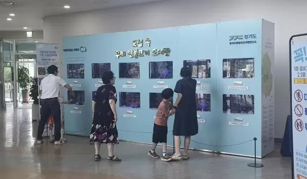 메인사진