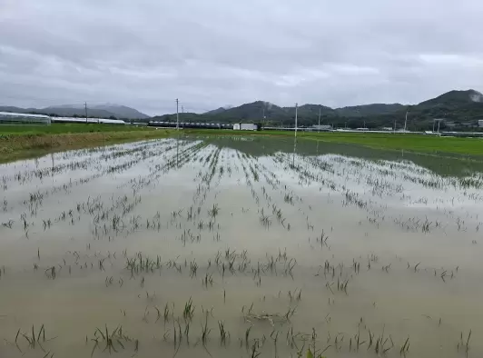 메인사진