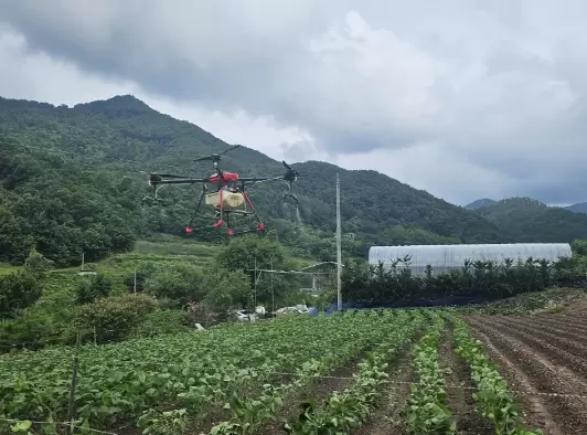 메인사진