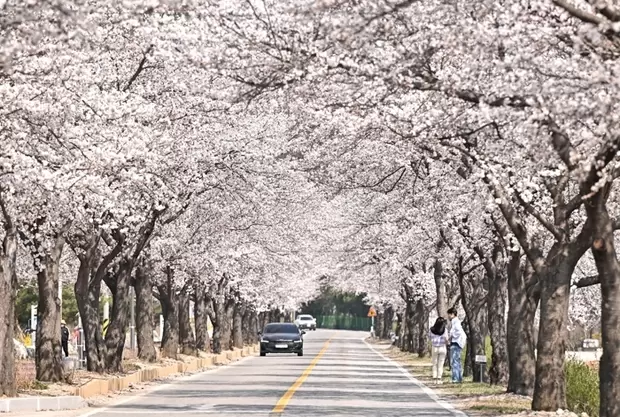 메인사진