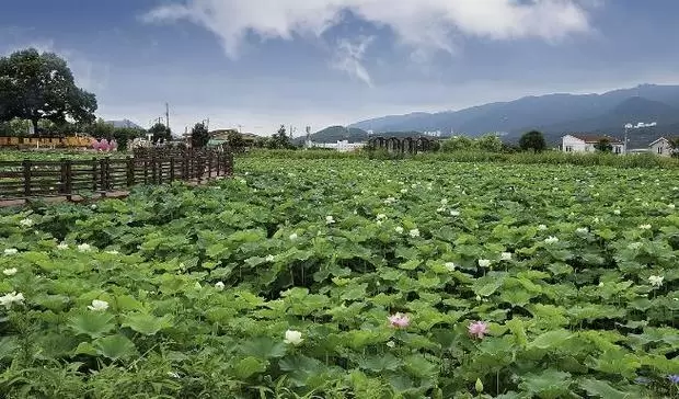 메인사진