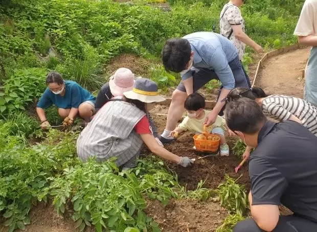 메인사진