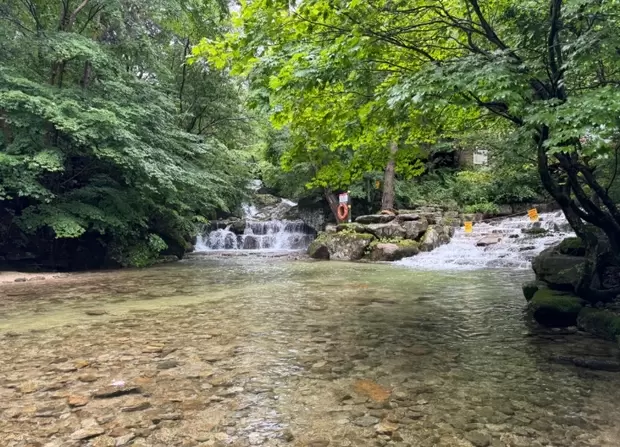 메인사진