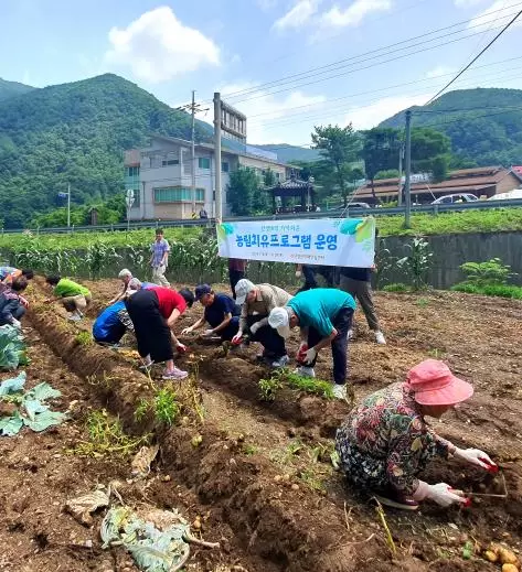 메인사진