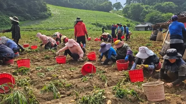 메인사진