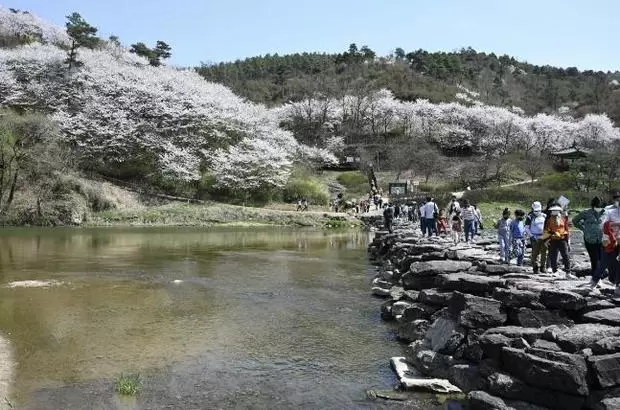 메인사진