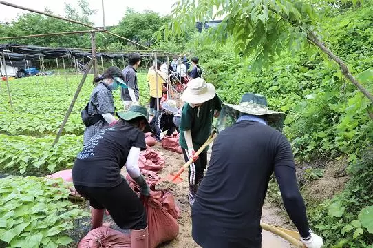 메인사진