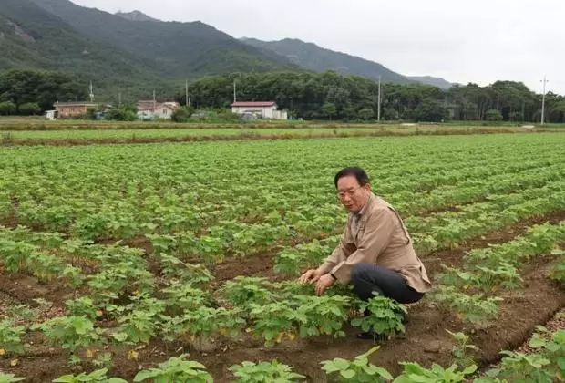 메인사진