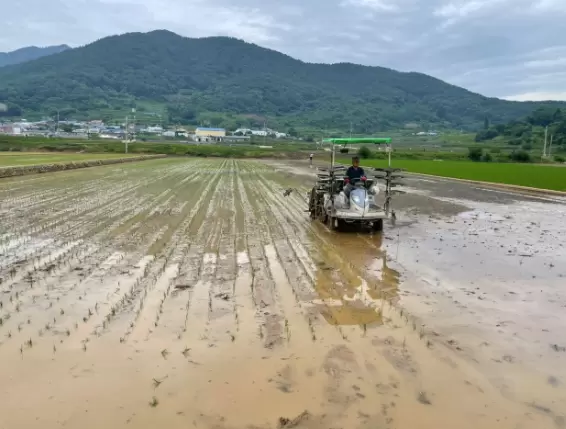 메인사진