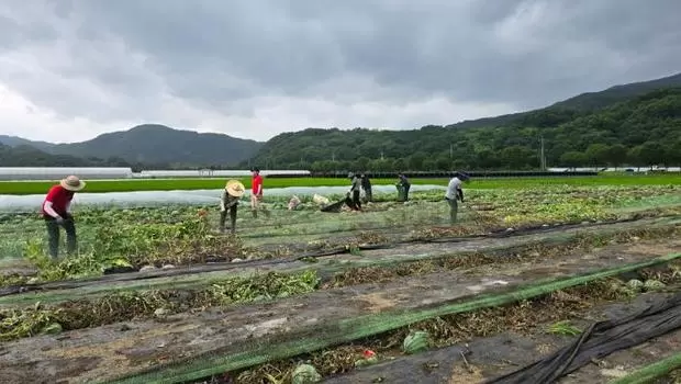 메인사진