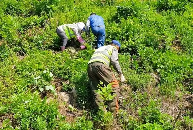 메인사진