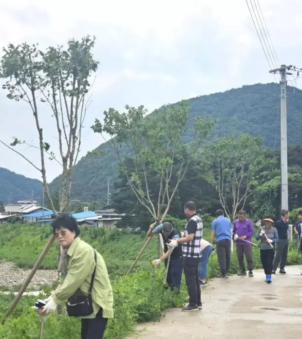 메인사진