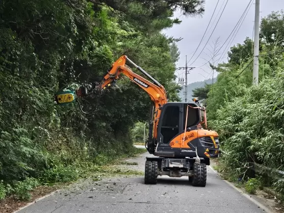 메인사진