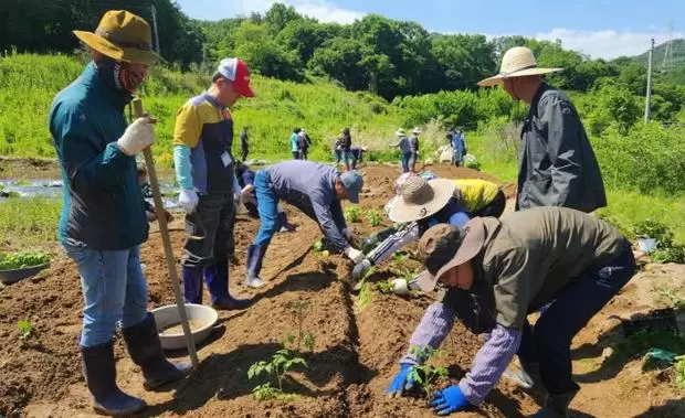 메인사진