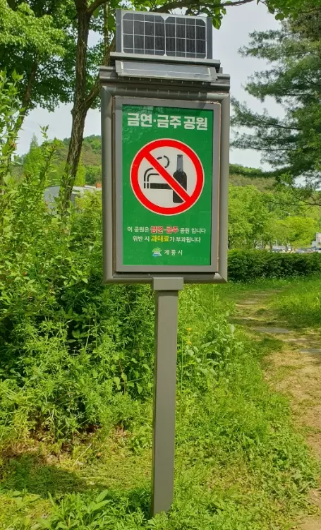 메인사진