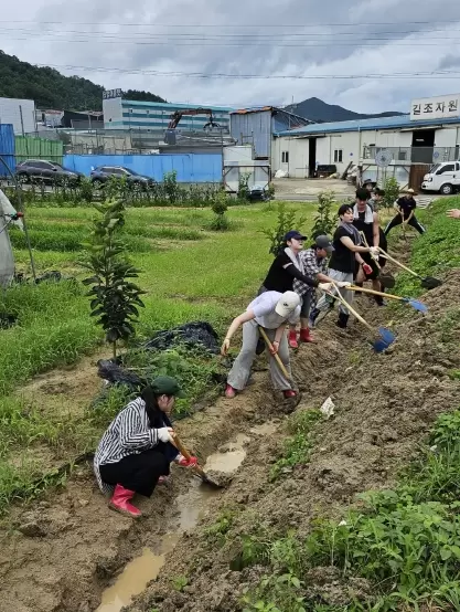 메인사진