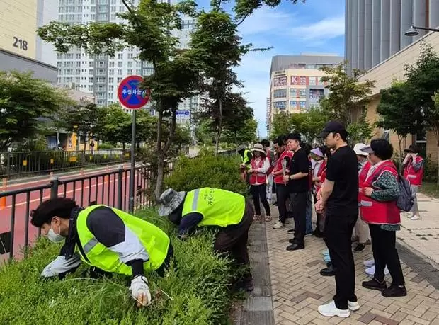 메인사진