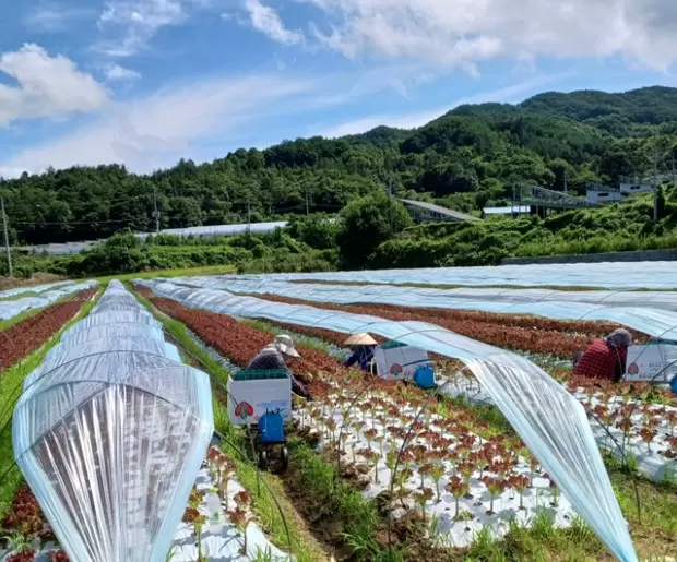 메인사진