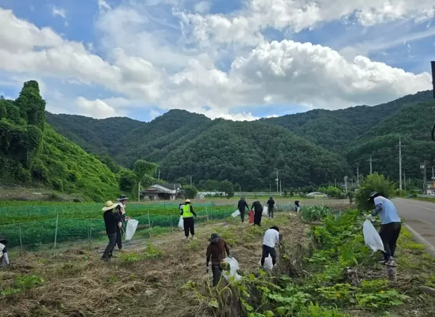 메인사진