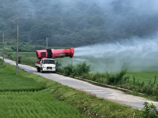 메인사진