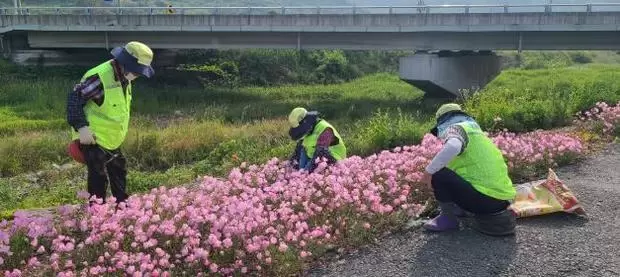 메인사진