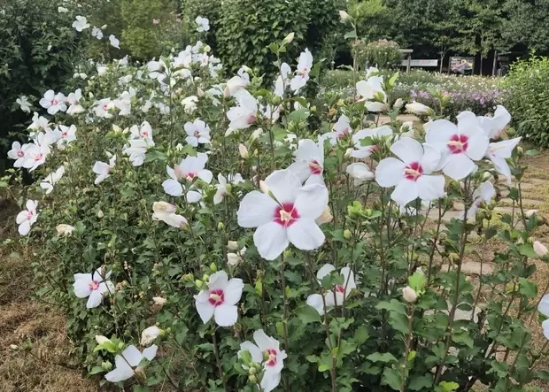 메인사진