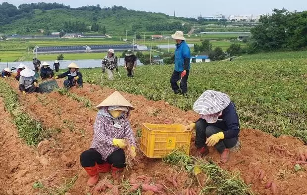 메인사진