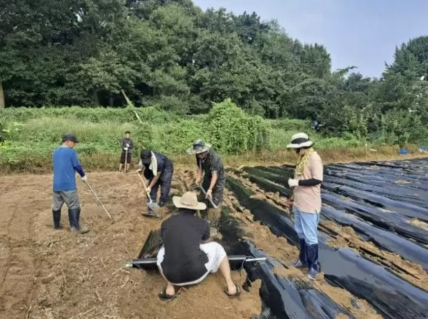 메인사진