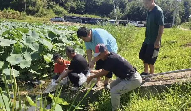 메인사진