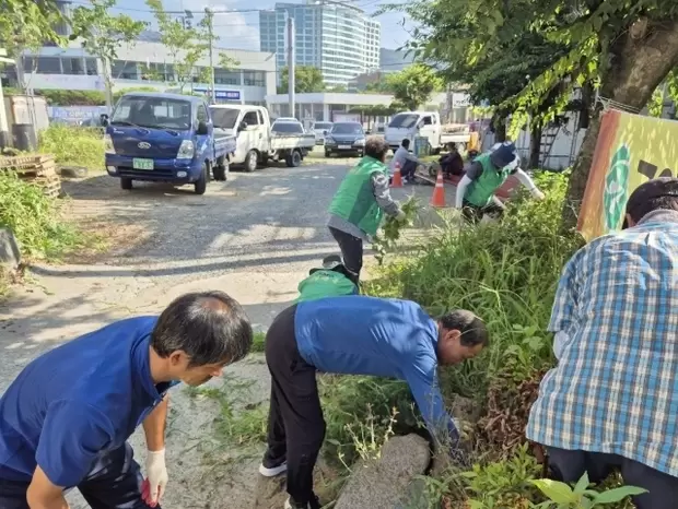 메인사진