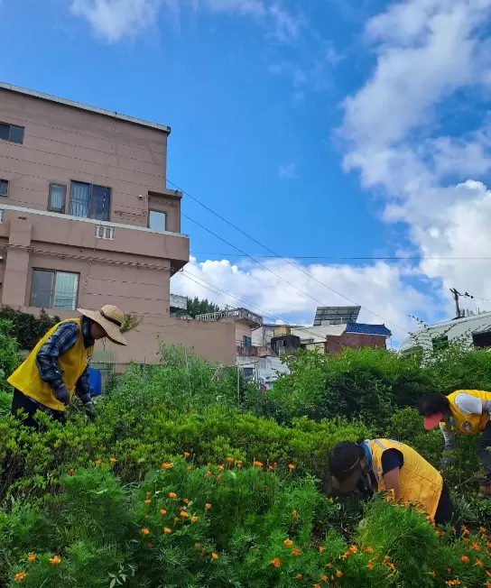 메인사진