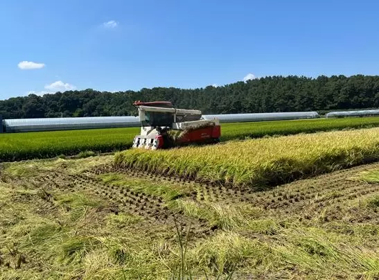 메인사진