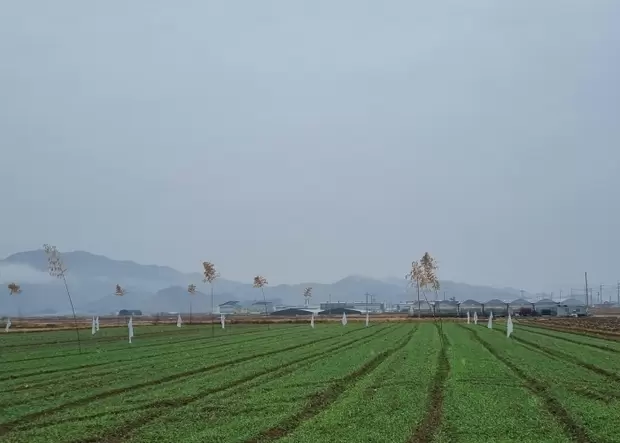 메인사진