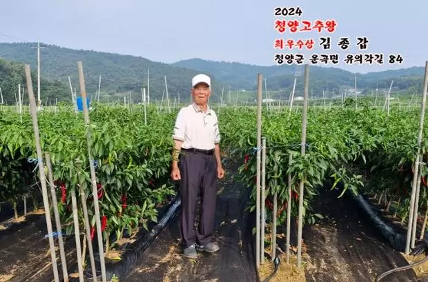 메인사진