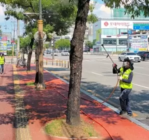 메인사진