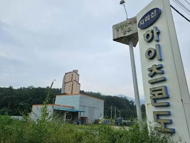 메인사진