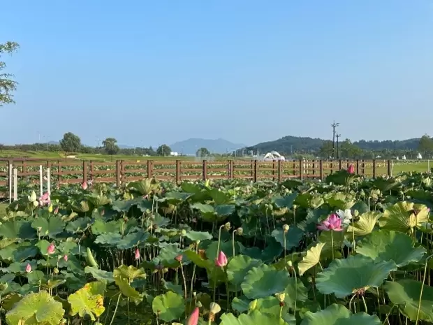 메인사진