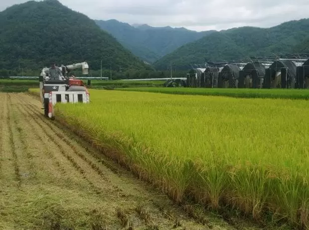 메인사진