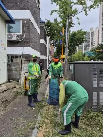 메인사진