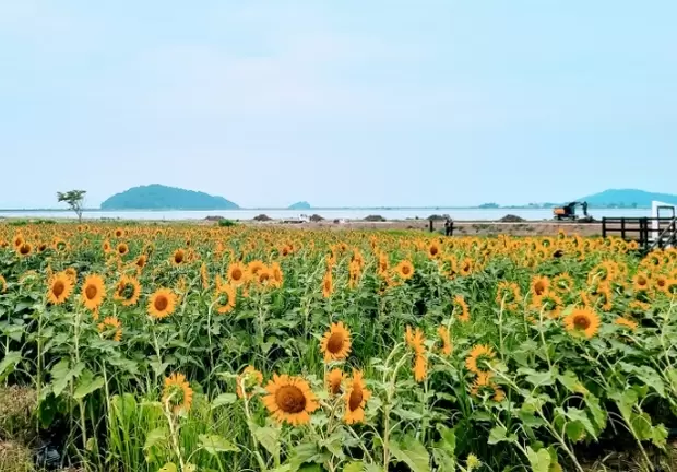 메인사진